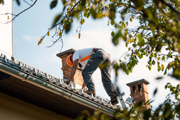 Best Flat Roof Repair Services  in East Palatka, FL